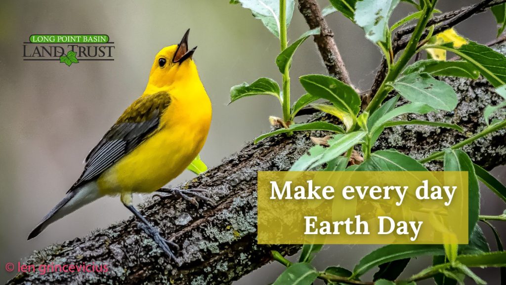 Yellow bird on branch, with text "Make every day Earth Day"