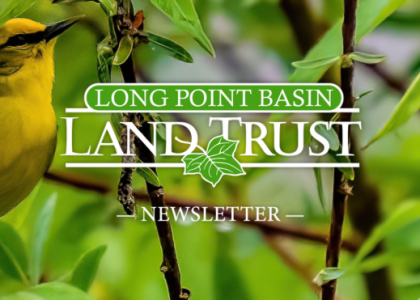 Summer 2025 Newsletter