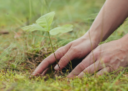 Protecting Land Forever: Why Stewardship Endowments Matter Protecting Land Forever: Why Stewardship Endowments Matter
