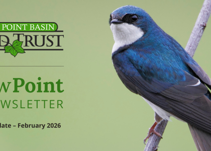 Viewpoint Newsletter – Winter 2026 Edition Viewpoint Newsletter – Winter 2026 Edition