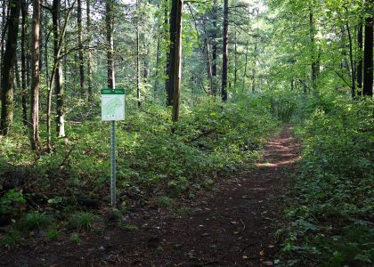 New Signs Help Welcome Visitors to Trout Creek Nature Reserve